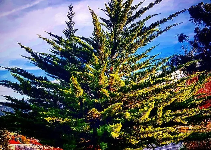 Дом отдыха Casa Dom Yahya *